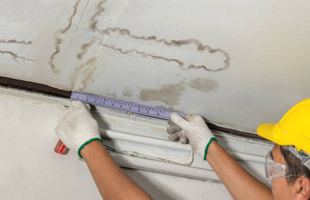 Reliable Water Damage Repair contractor in Little Deer Isle, ME by Hirex Water Damage